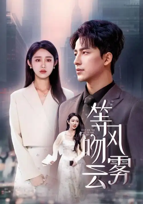 电视剧海报：锦绣南歌
